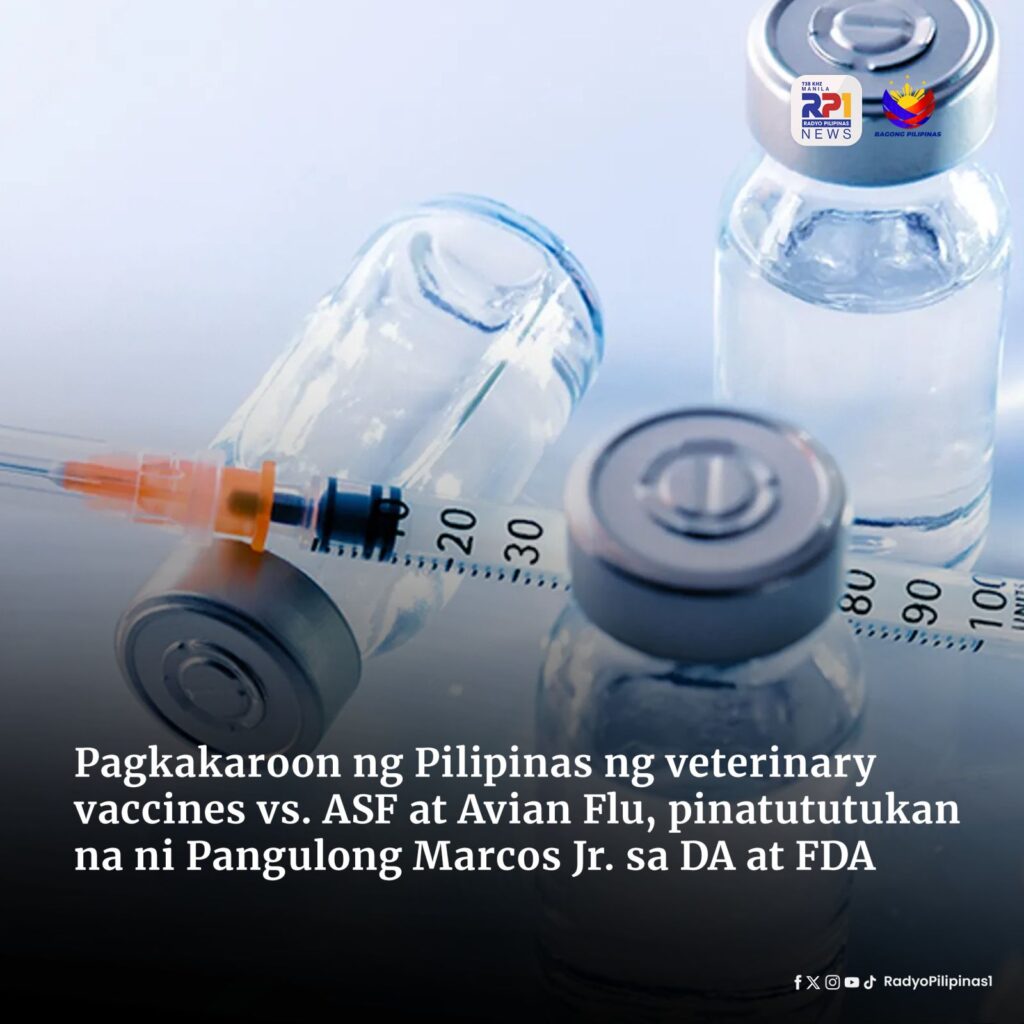 Pagkakaroon Ng Pilipinas Ng Veterinary Vaccines Vs ASF At Avian Flu