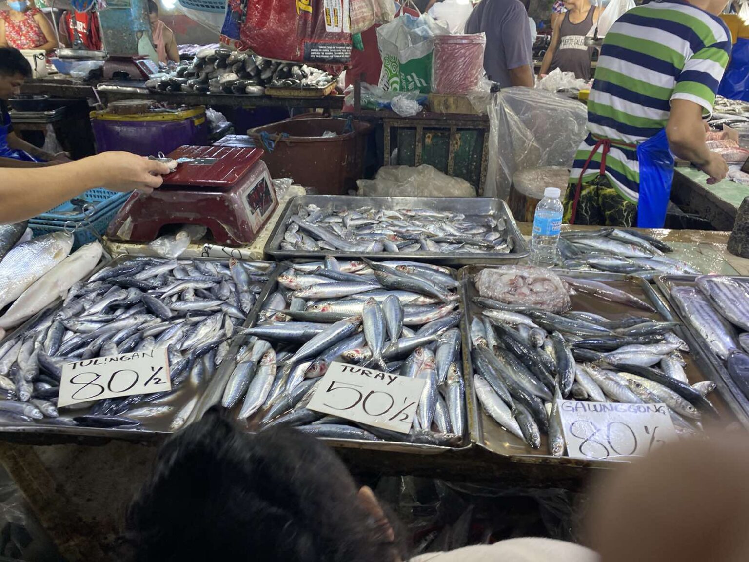 Presyo Ng Mga Pangunahing Bilihin Sa Marikina Public Market Radyo Pilipinas 9396